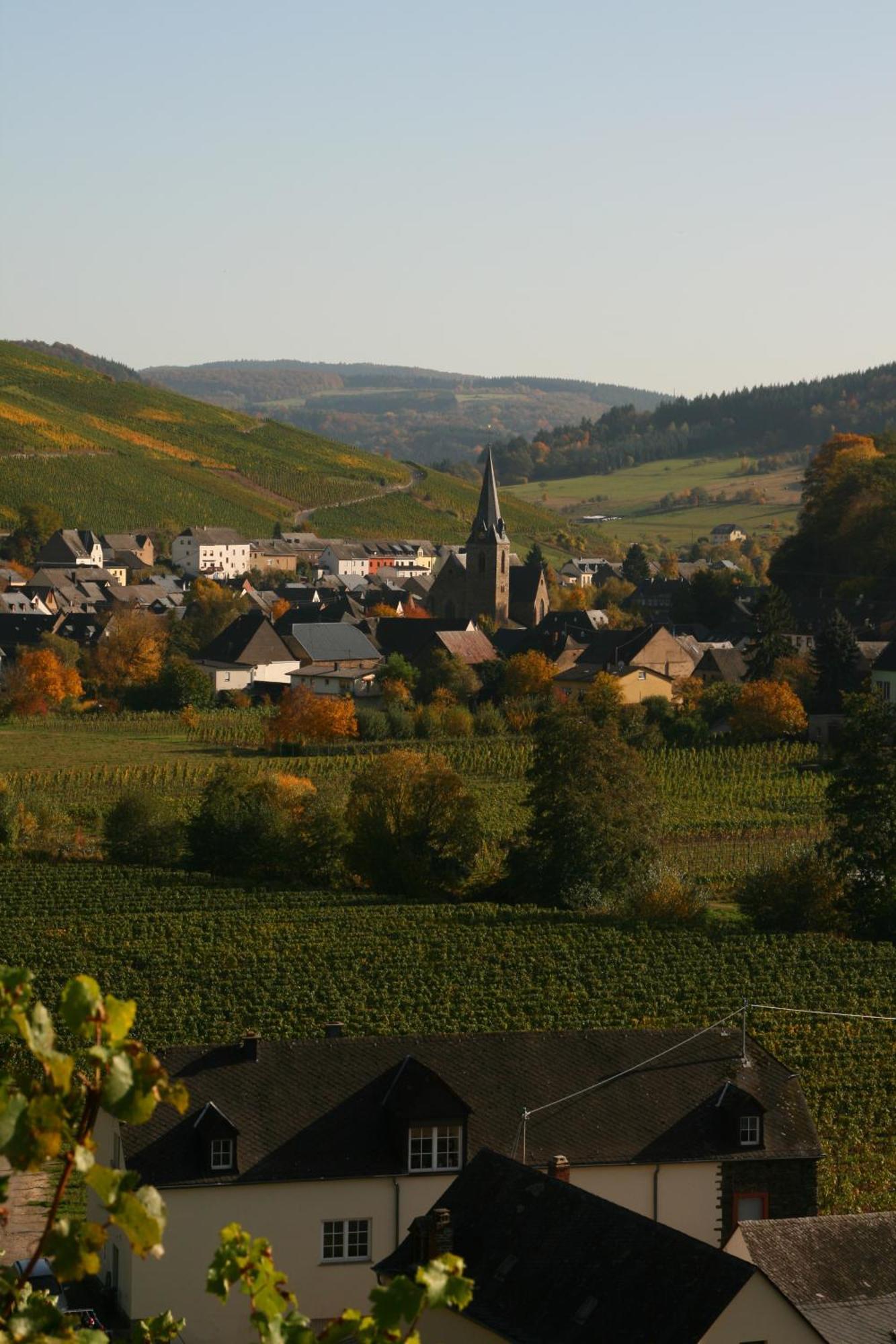 Weingut & Gaestehaus Stephan Kohl Neumagen-Dhron Esterno foto